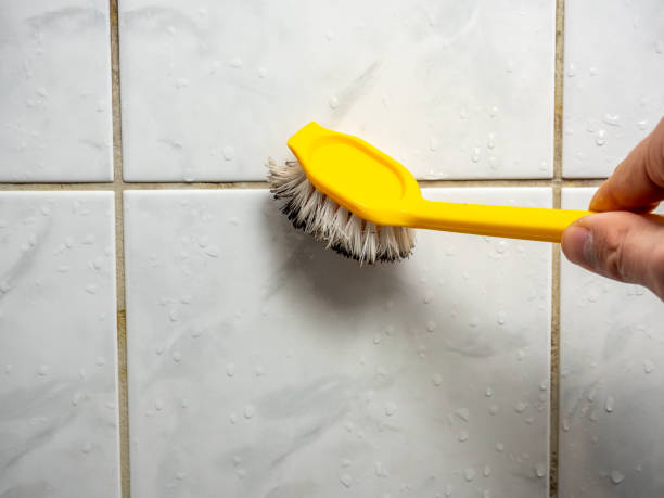 Best Localized Mold Remediation (e.g., coastal areas, humid climates) in Lake Barrington, IL